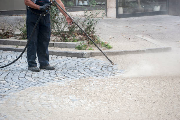 Best Driveway Cleaning and Restoration in North Branch, MN